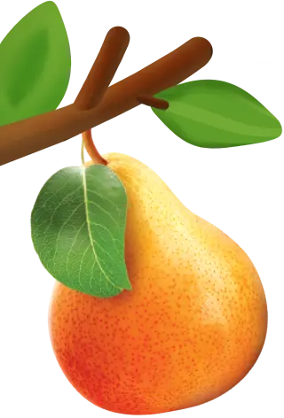 pear